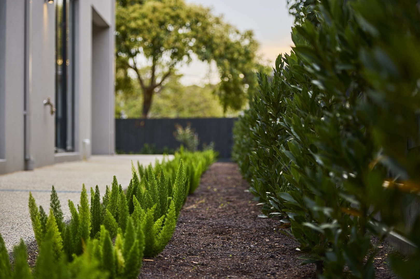 green 4