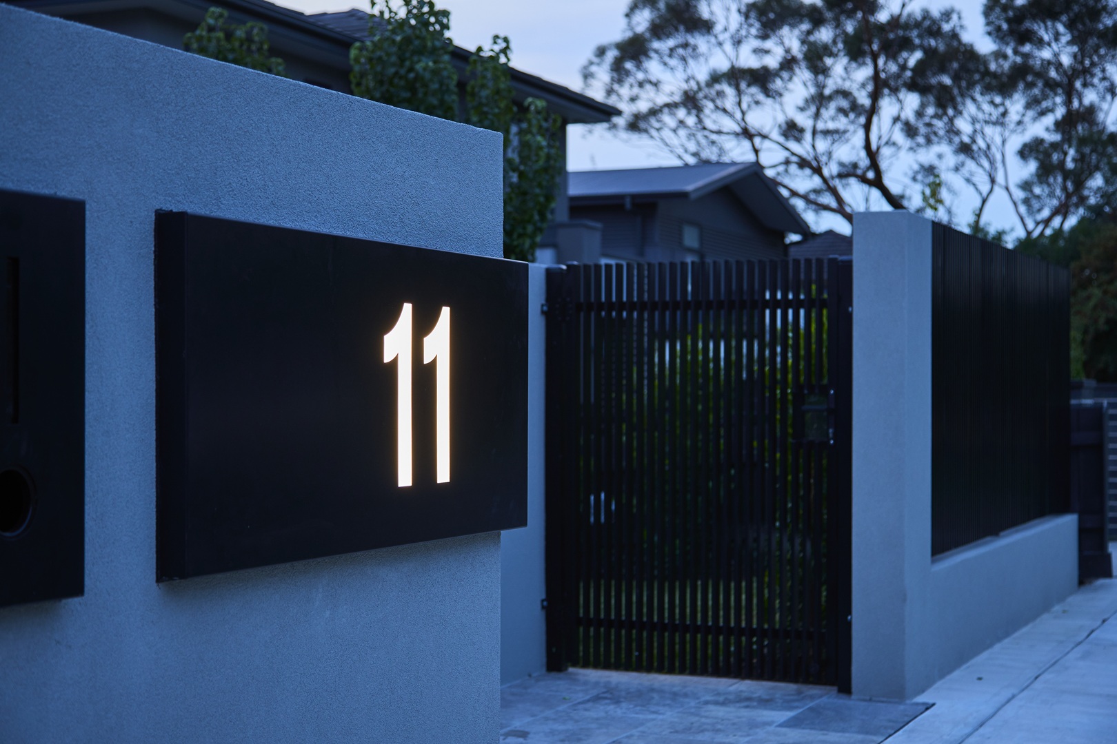 light 6